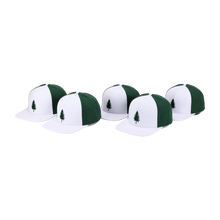 Load image into Gallery viewer, Lone Pine Two Tone Snapback